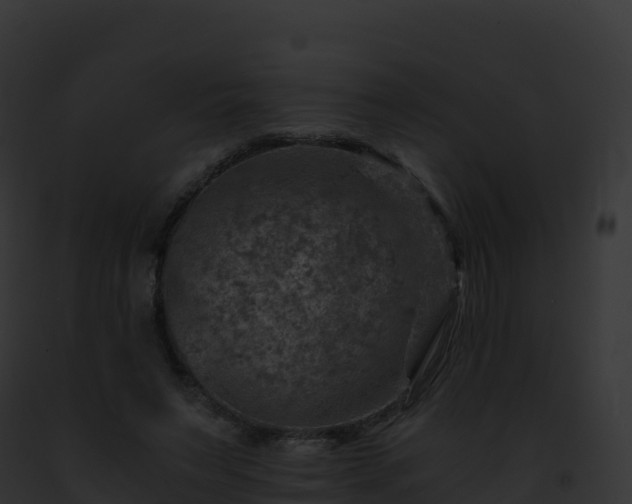 X0000093100495200710031502