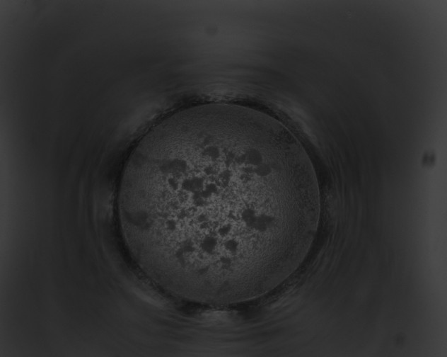 X0000093100499200710031502