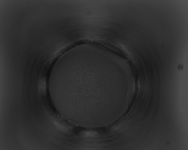 X0000093100500200710031502