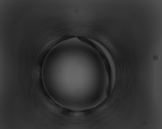 X0000093100501200710031502