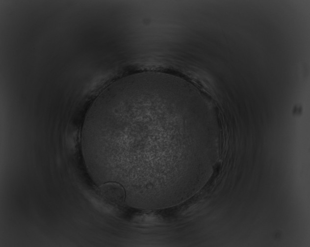 X0000093100503200710031502
