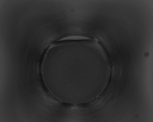 X0000093100504200710031502