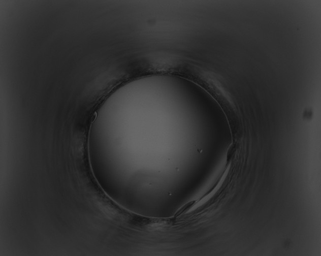 X0000093100505200710031502