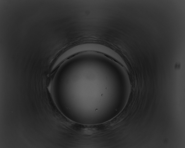 X0000093100508200710031502