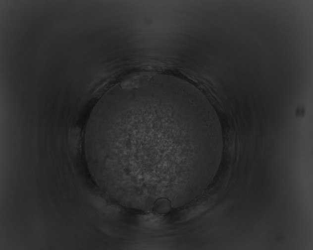 X0000093100511200710031502