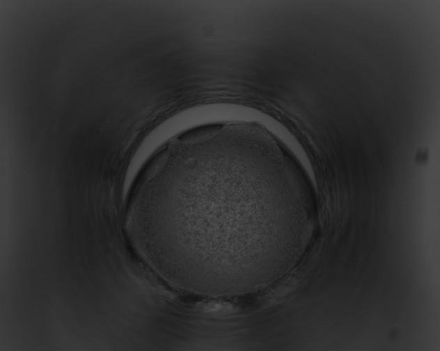 X0000093100512200710031502