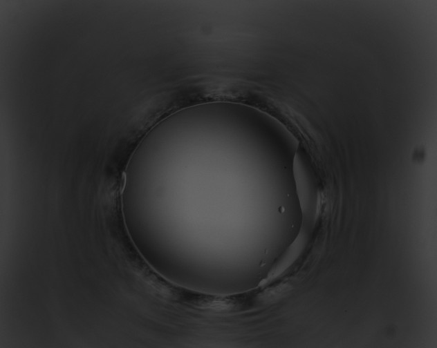 X0000093100513200710031502