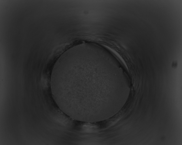 X0000093100515200710031502