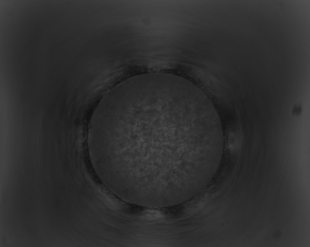 X0000093100519200710031502