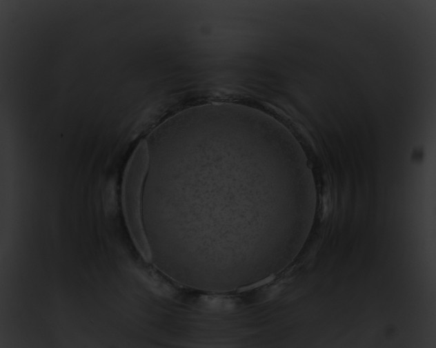 X0000093100520200710031502