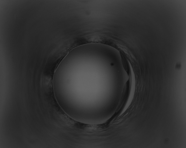 X0000093100521200710031502