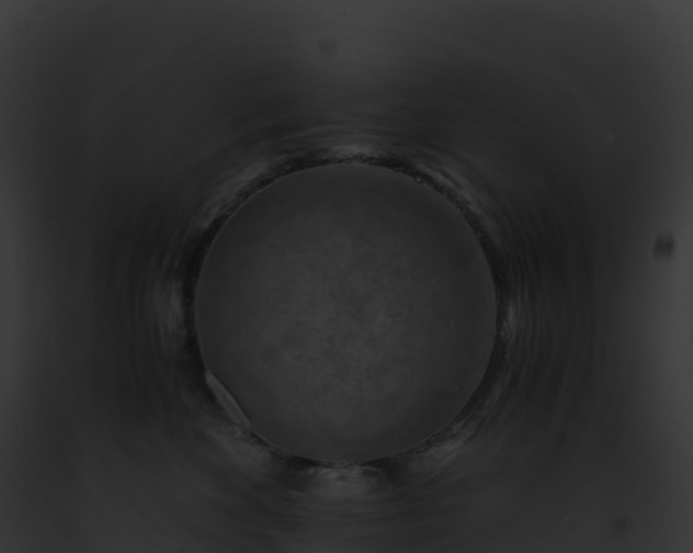 X0000093100524200710031502
