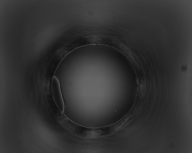 X0000093100525200710031502