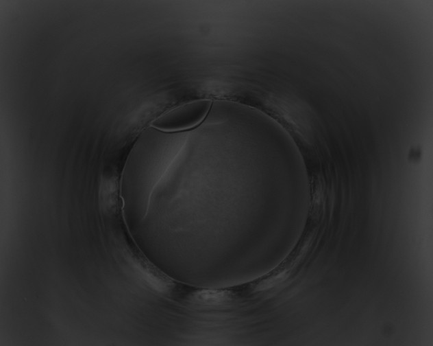 X0000093100526200710031502