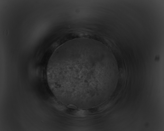 X0000093100527200710031502