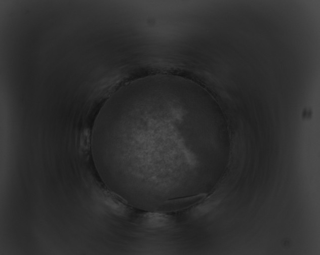 X0000093100528200710031502
