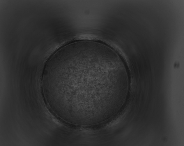 X0000093100529200710031501