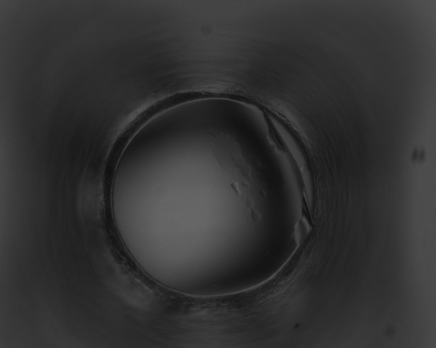 X0000093100532200710031501