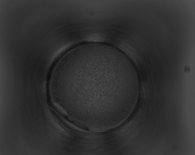 X0000093100535200710031501