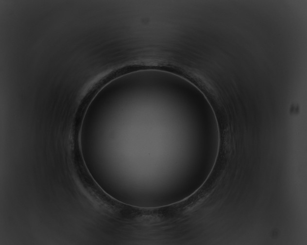 X0000093100536200710031501