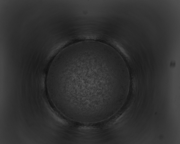 X0000093100537200710031501