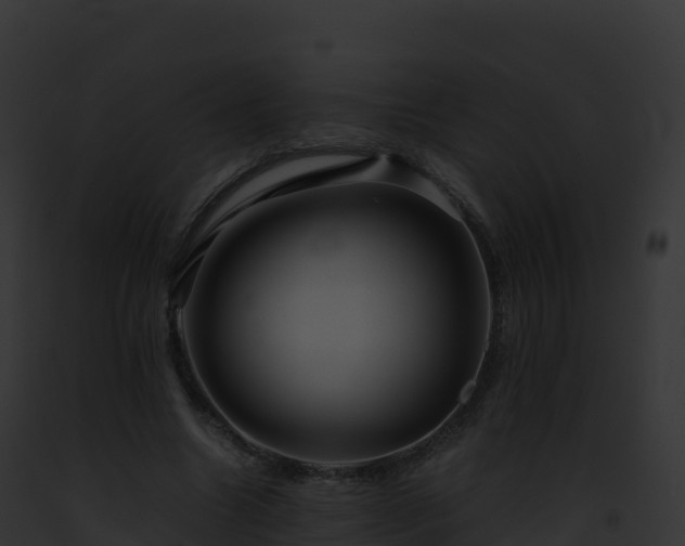 X0000093100538200710031501