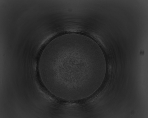 X0000093100539200710031501