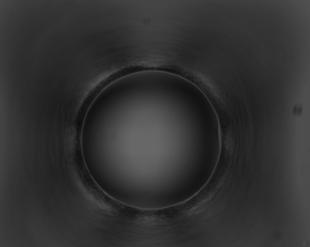 X0000093100540200710031501
