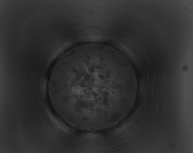 X0000093100542200710031501