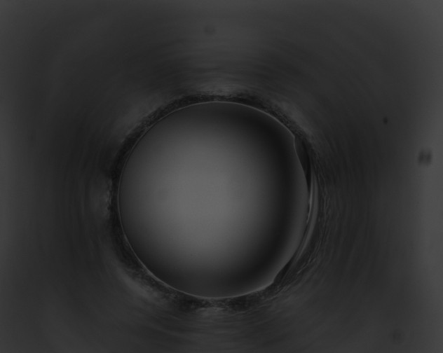 X0000093100544200710031501