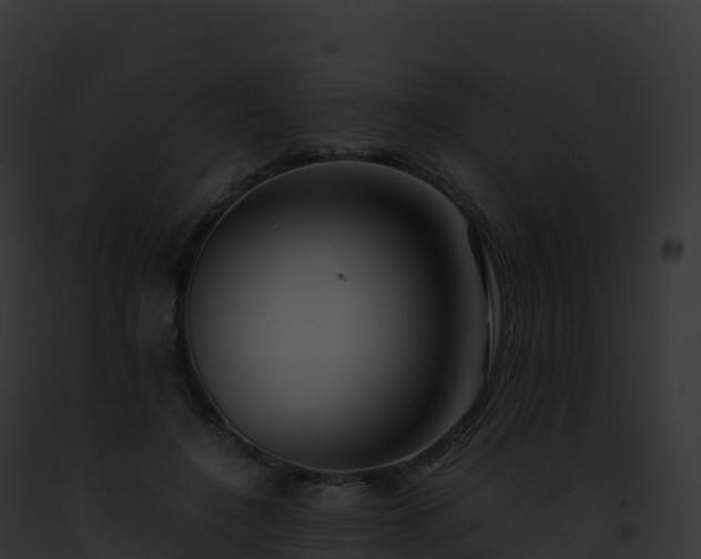 X0000093100548200710031501