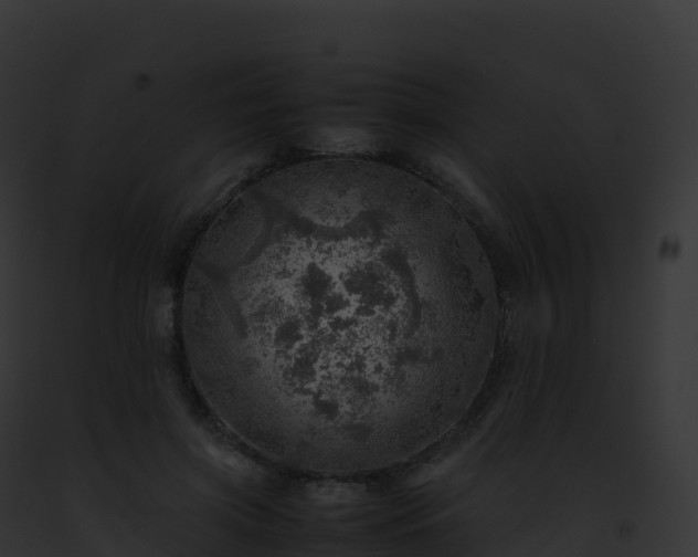 X0000093100549200710031501