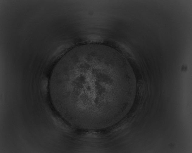 X0000093100550200710031501