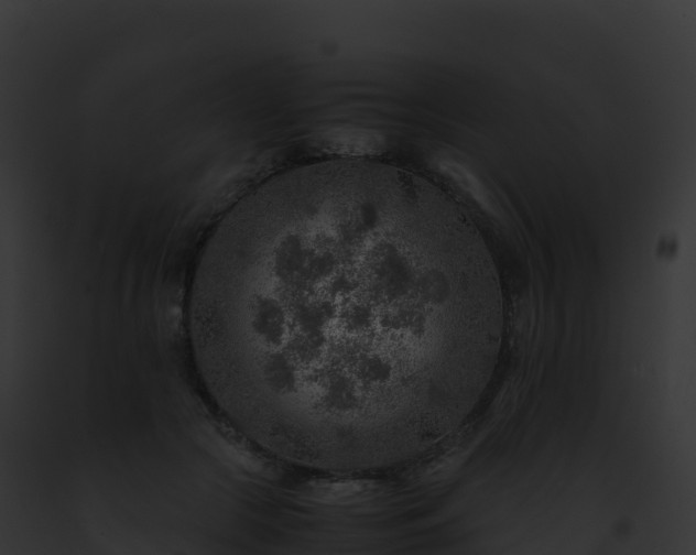 X0000093100553200710031501