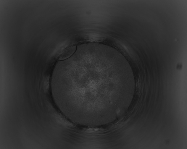 X0000093100554200710031501