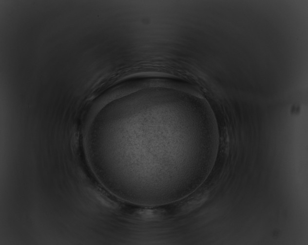 X0000093100558200710031501