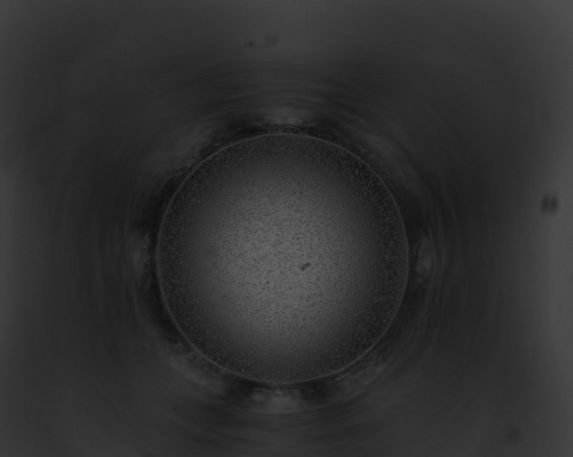 X0000093100559200710031501