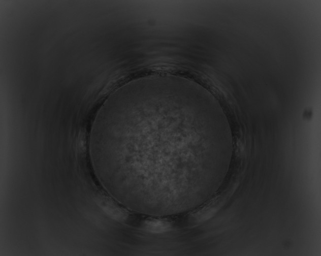 X0000093100561200710031501