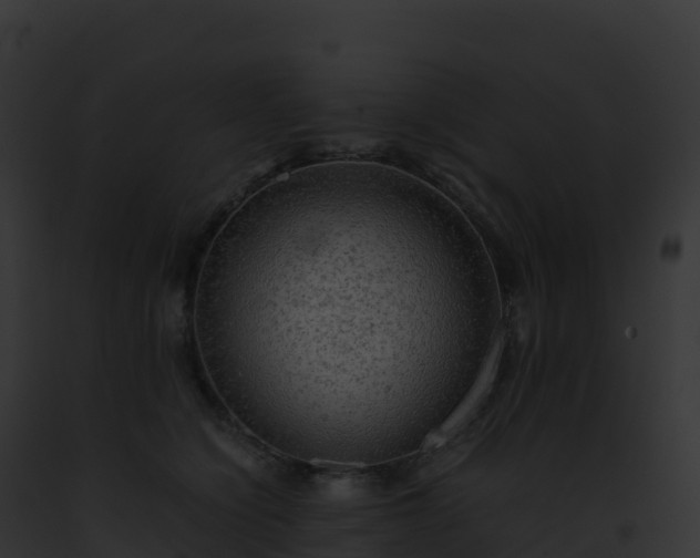 X0000093100564200710031501