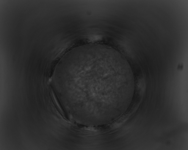 X0000093100565200710031501