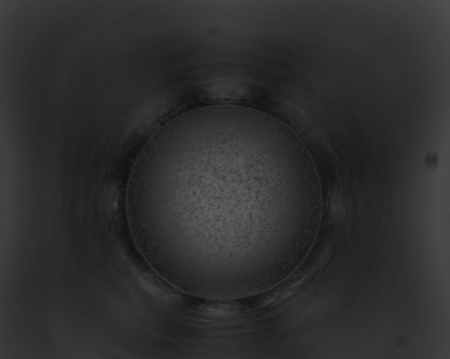 X0000093100567200710031501