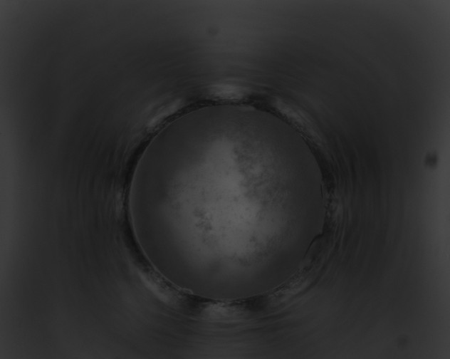 X0000093100568200710031501