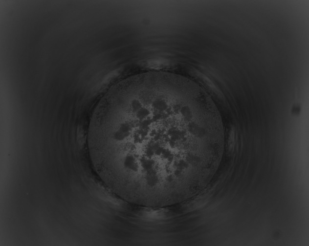 X0000093100569200710031501