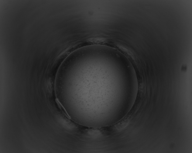 X0000093100572200710031501
