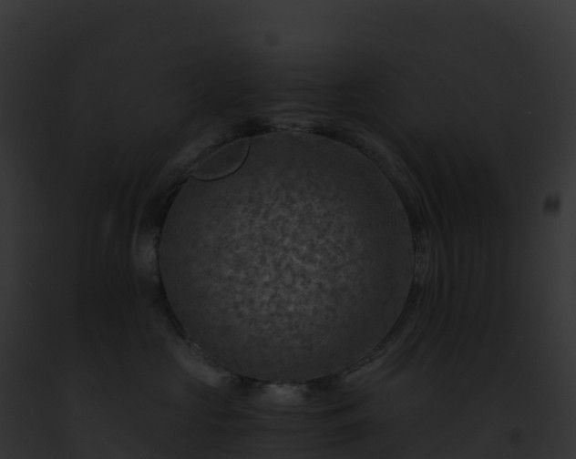 X0000093100573200710031501