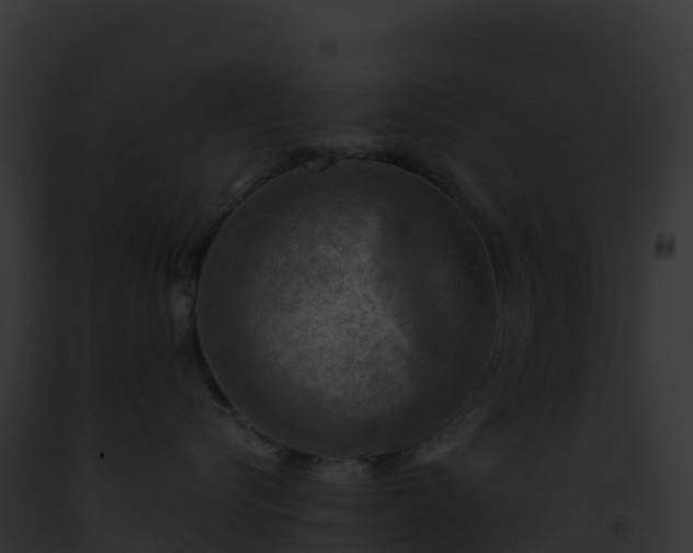 X0000093100576200710031501