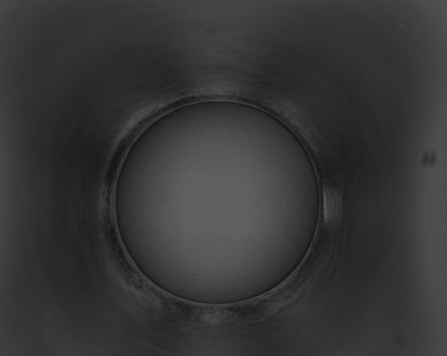 X0000093100579200710031501