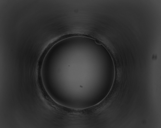 X0000093100580200710031501