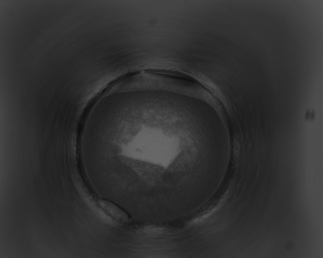 X0000093100581200710031501