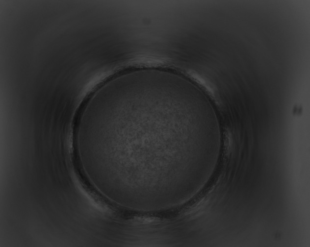 X0000093100582200710031501
